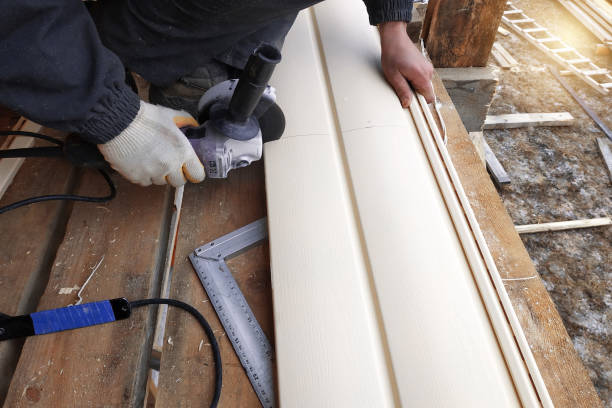 Best Vinyl Siding Installation  in Ames, IA